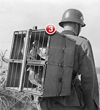Angehängtes Bild